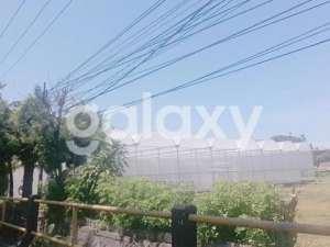 TANAH RAYA KUTA BADUNG, BALI lokasi di Kab. Badung, tersedia melalui melalui situs Olx