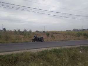 TANAH RAYA MOJOSARI REJO GRESIK DR571 lokasi di Gresik Kab., tersedia melalui melalui situs Olx