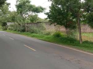 TANAH RAYA SARONGGI SUMENEP JAWA TIMUR SG541 lokasi di Sumenep Kab., tersedia melalui melalui situs Olx