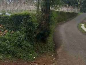 tanah sawah dan darat lokasi di Purwakarta Kab., tersedia melalui melalui situs Olx