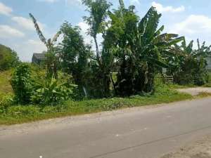 Tanah Sawah Dan Pekarangan Di Maguwoharjo Dekat RS Hermina lokasi di Sleman Kab., tersedia melalui melalui situs Olx