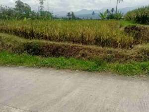 Tanah sawah jl arah perum Rabani munjul lokasi di Garut Kab., tersedia melalui melalui situs Olx