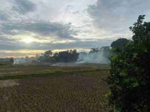 Tanah Sawah Legok 935m2 lokasi di Tangerang Kab., tersedia melalui melalui situs Olx