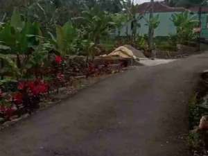 tanah sawah produktif lokasi di Subang Kab., tersedia melalui melalui situs Olx