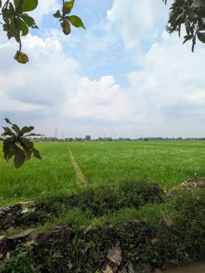 Tanah Sawah, ukuran 2008 meter 5m x 401,6m lokasi di Sidoarjo  Kab., tersedia melalui melalui situs Olx