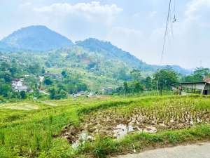 Tanah Sentul, Bogor dekat obyek wisata Bagus untuk usaha dan villa lokasi di Bogor Kab., tersedia melalui melalui situs Olx