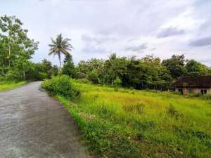 Tanah SHM Balecatur Sleman Dekat Jalan Wates Km 8 Lokasi Bagus lokasi di Bantul Kab., tersedia melalui melalui situs Olx
