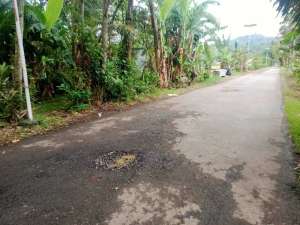 TANAH SHM DEKAT JALAN NASIONAL JUAL MURAH DI BANYUMAS lokasi di Cilacap Kab., tersedia melalui melalui situs Olx