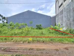 Tanah SHM Murah Randuagung Singosari Malang Jual cepat Edisi B.U Poll lokasi di Malang Kab., tersedia melalui melalui situs Olx