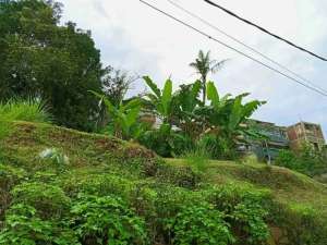 Tanah SHM Murah Strategis di sayap Cikutra, dekat kampus Widyatama lokasi di Bandung Kota, tersedia melalui melalui situs Olx