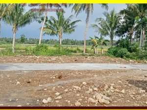 Tanah Siap AJB tanah tawangsari dekat bandara YIA lokasi di Yogyakarta Kota, tersedia melalui melalui situs Olx