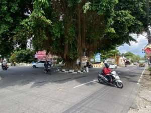 Tanah Siap Bangun Area Palagan Utara Jejamuran View Merapi dan Sawah lokasi di Yogyakarta Kota, tersedia melalui melalui situs Olx