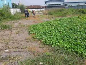 tanah siap bangun buat gudang lokasi di Candi, tersedia melalui melalui situs Olx