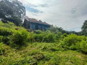 Tanah Siap Bangun di daerah Lembang Bandung lokasi di Maros Kab., tersedia melalui melalui situs Olx