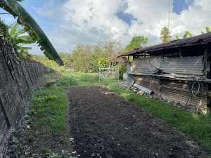TANAH SIAP BANGUN DI JALAN UTAMA BAGUS BUAT INVESTASI DI JEMBARANA NEGARA BALI lokasi di Jembrana Kab., tersedia melalui melalui situs Olx