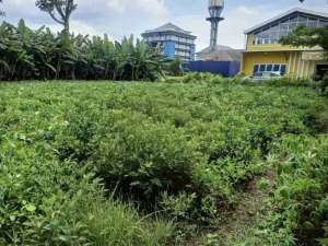 Tanah Siap Bangun di Jl. Dieng Malang Dekat Universitas BrawijayaUnmer lokasi di Malang Kota, tersedia melalui melalui situs Olx