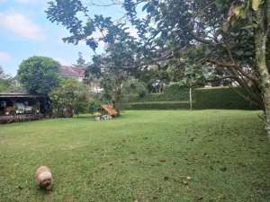 Tanah siap bangun di komplek graha puspa Lembang lokasi di Bandung Barat Kab., tersedia melalui melalui situs Olx