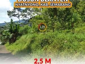 Tanah Siap Bangun di Ungaran Barat Kabupaten Semarang lokasi di Semarang Kab., tersedia melalui melalui situs Olx