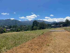 Tanah Siap Bangun Luas 703 M Dekat Jalan Raya Puncak lokasi di Bogor Kab., tersedia melalui melalui situs Olx