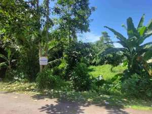 Tanah Siap Pakai di Pala Sari Curug lokasi di Tangerang Kab., tersedia melalui melalui situs Olx