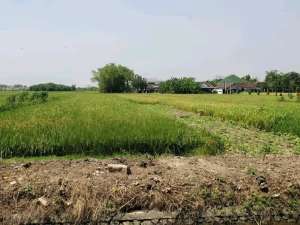 Tanah Strategies, Durung Bedug, Candi, sda lokasi di Sidoarjo  Kab., tersedia melalui melalui situs Olx