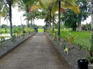 Tanah Strategis 700 m di Kediri TabananSHMCocok VillaInvestasi lokasi di Tabanan Kab., tersedia melalui melalui situs Olx