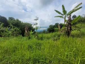 Tanah Strategis dan Murah di Kawasan Tempuran, Magelang dekat dengan Jalan Raya Magelang-Yogya lokasi di Magelang Kab., tersedia melalui melalui situs Olx