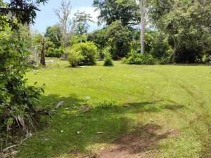 Tanah strategis dekat dengan Pantai Balangan dan Pantai Dreamland lokasi di Kab. Badung, tersedia melalui melalui situs Olx