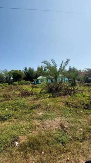 Tanah Strategis Murah Dekat Kota Purworejo lokasi di Purworejo Kab., tersedia melalui melalui situs Olx