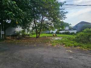 Tanah Strategis Siap Bangun di Umalas Kerobokan lokasi di Kab. Badung, tersedia melalui melalui situs Olx