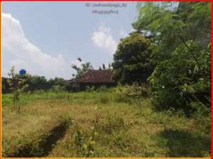 Tanah Strategis tepi aspal Jl LPMP Kalasan cocok investasi lokasi di Yogyakarta Kota, tersedia melalui melalui situs Olx