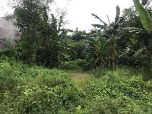 Tanah tegal cupek kerobokan lokasi di Kab. Badung, tersedia melalui melalui situs Olx