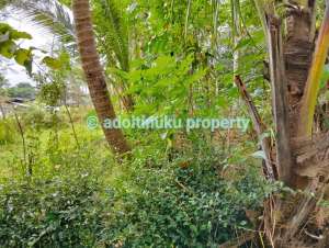 Tanah tepi jalan provinsi tidak jauh dari candi borobudur magelang lokasi di Magelang Kab., tersedia melalui melalui situs Olx