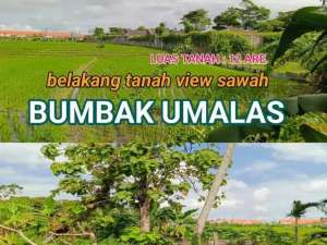 Tanah TERMURAH Jl Bumbak Umalas Kerobokan lokasi di Kab. Badung, tersedia melalui melalui situs Olx