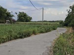 Tanah termurah pinggir jalan desa kemlagi mojokerto lokasi di Mojokerto Kab., tersedia melalui melalui situs Olx