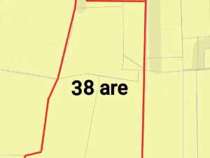 Tanah TERMURAH Yellow Zone di Umalas Kerobokan lokasi di Kab. Badung, tersedia melalui melalui situs Olx