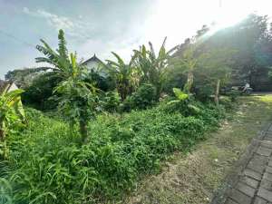 tanah Trengguli penatih Denpasar timur bali lokasi di Denpasar Kota, tersedia melalui melalui situs Olx