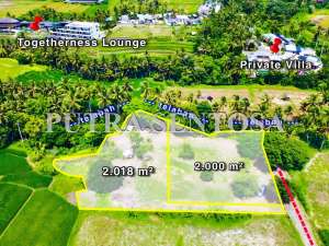 TANAH UBUD LODTUNDUH LOS SUNGAI lokasi di Kab. Badung, tersedia melalui melalui situs Olx