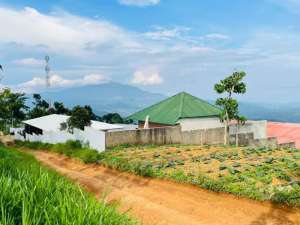 Tanah Udara Dingin Dekat Villa Komersil di Sumedang Dijual Murah lokasi di Sumedang Kab., tersedia melalui melalui situs Olx