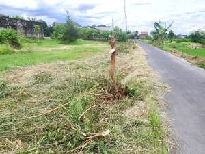 Tanah Untuk Hunian Dekat SKE Lokasi Trihanggo Sleman lokasi di Sleman Kab., tersedia melalui melalui situs Olx