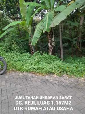 TANAH UNTUK RUMAH ATAU USAHA APA SAJA, UNGARAN, KAB. SEMARANG lokasi di Semarang Kab., tersedia melalui melalui situs Olx