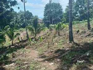 Tanah view cocok bangun villa, kos, atau kantor dll lokasi di Manado Kota, tersedia melalui melalui situs Olx