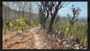 Tanah view gunung gerokgak, buleleng, singaraja bali lokasi di Buleleng Kab., tersedia melalui melalui situs Olx