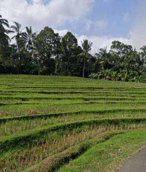 Tanah view sawah dan laut di Megati Tabanan Bali lokasi di Tabanan Kab., tersedia melalui melalui situs Olx