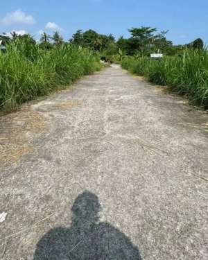 Tanah view sawah di gianyar, Akses jalan 4 meter lokasi di Gianyar Kab., tersedia melalui melalui situs Olx