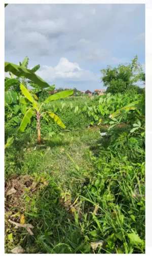 Tanah View Sawah di Kerobokan Kuta Utara lokasi di Kab. Badung, tersedia melalui melalui situs Olx