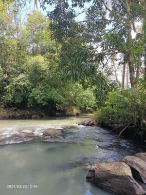 Tanah view sungai dan sawah dekat Villa Bali Lush lokasi di Tabanan Kab., tersedia melalui melalui situs Olx