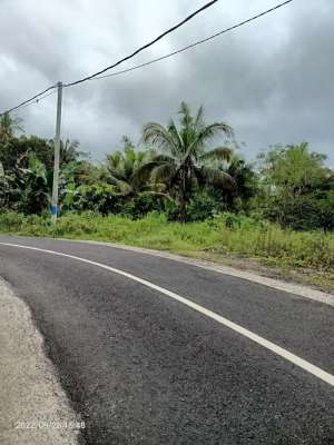 Tanah view sungai kecil dekat exit toll Antosari Bali lokasi di Tabanan Kab., tersedia melalui melalui situs Olx