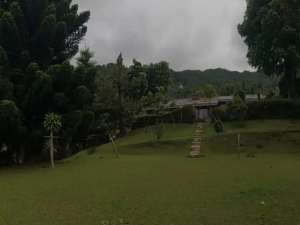 Tanah Villa Puncak Cisarua SHM Zona Kuning Bisa IMB lokasi di Bogor Kab., tersedia melalui melalui situs Olx