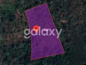 TANAH WISATA PERKEBUNANDI DESA SADA PUPUAN TABANAN, BALI lokasi di Tabanan Kab., tersedia melalui melalui situs Olx